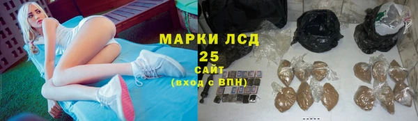 СК Аркадак