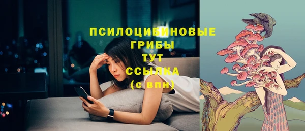 дурь Арсеньев